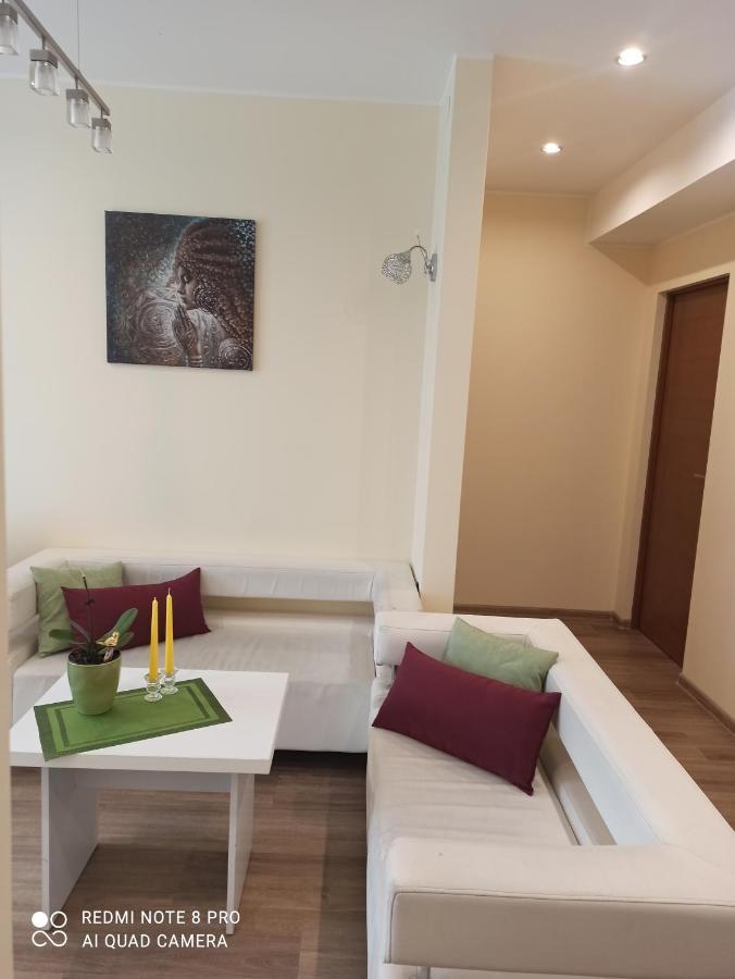 Nelli Apartamentai Druskininkai Kültér fotó