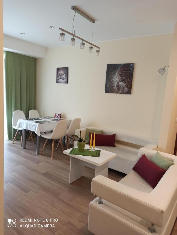 Nelli Apartamentai Druskininkai Kültér fotó