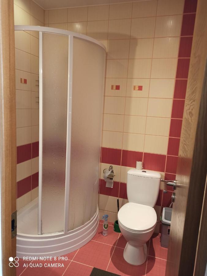 Nelli Apartamentai Druskininkai Kültér fotó